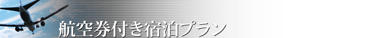 航空券付き宿泊プラン