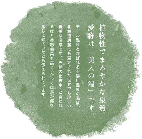 「美人の湯」モール温泉を源泉かけ流しでご用意。